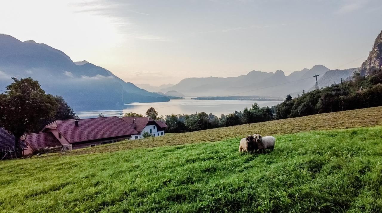 Archehof Eislbauer - Bauernhof Fuer Die Seele! Sankt Gilgen Exterior foto